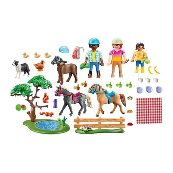 Playmobil Country 71239: Πικ Νικ στην Εξοχή