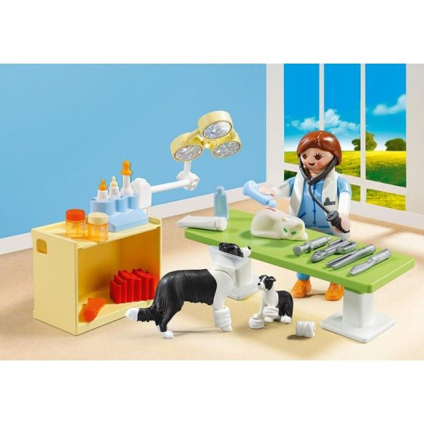 Playmobil Βαλιτσάκι City Life 5653: Κτηνιατρείο