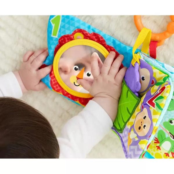 Fisher Price Βιβλιαράκι Δραστηριοτήτων 1 to 5